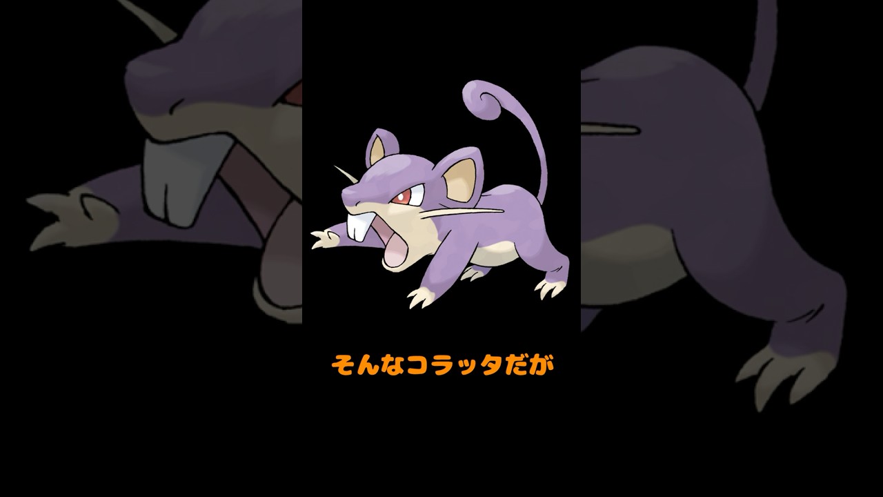 独断と偏見ポケモン図鑑 0019「コラッタ」#shorts #ポケモン #Vtuber