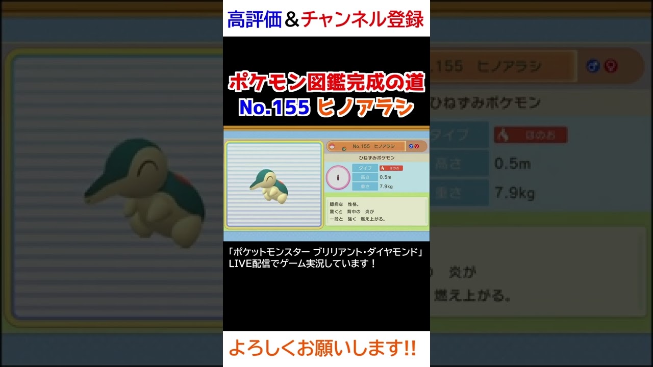 No.155 ヒノアラシ図鑑登録完了！【ポケモンBDSP】
