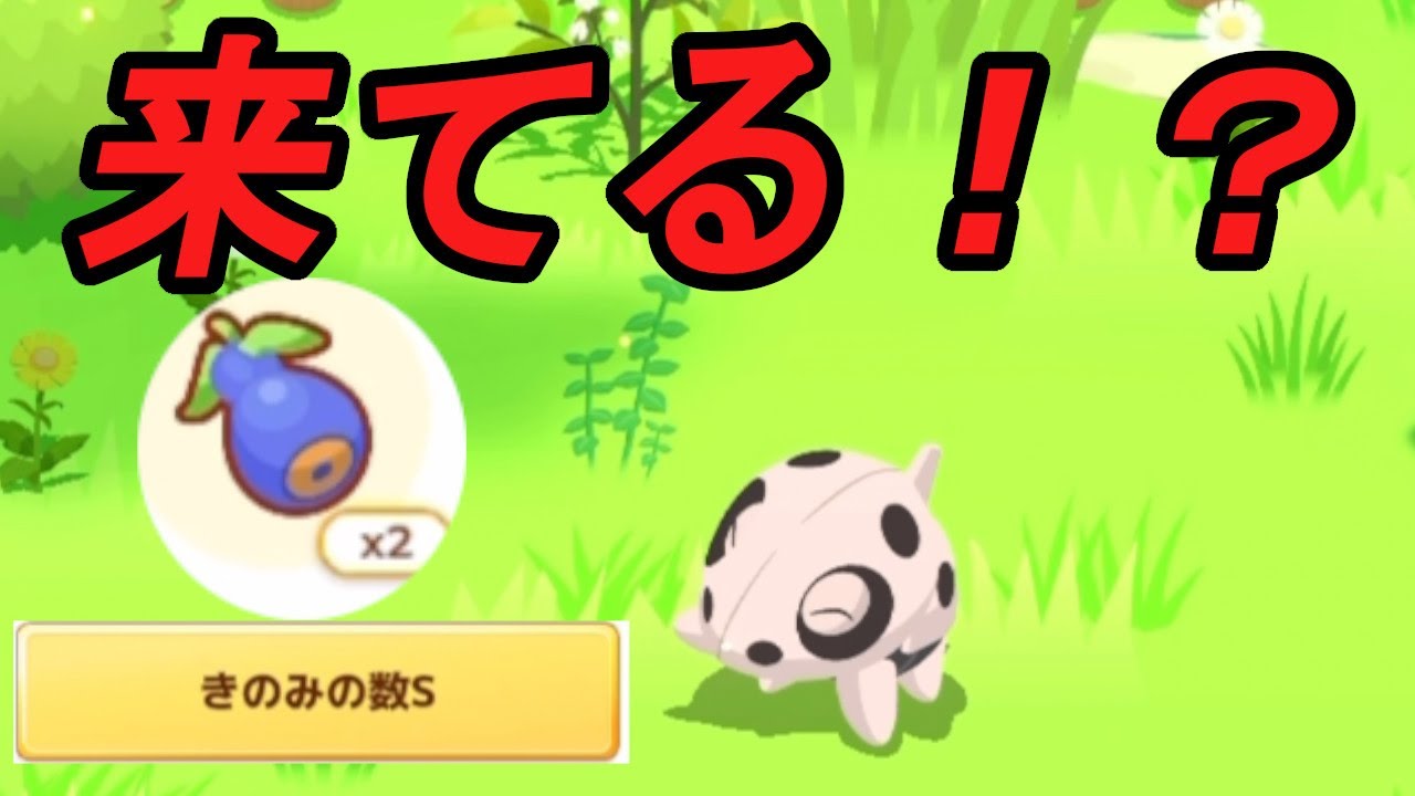 やっっっとココドラ来た！しかもこいつは...！？【ポケモンスリープ】