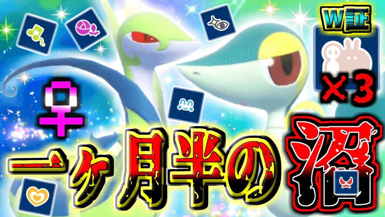 【検証】『♀』で『どっしり』の『レア色証ツタージャ』を狙ったら何匹目に出るの？ 【ポケモンSV】
