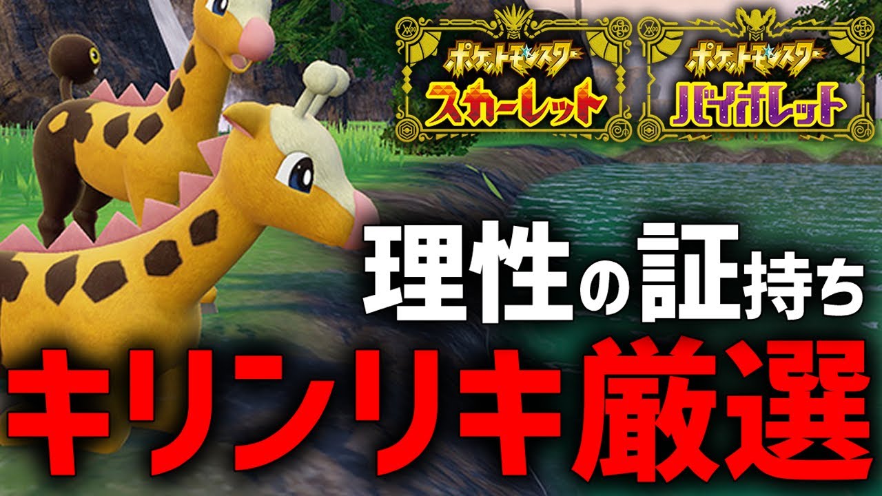 【今だけ】『色違い』かつ『理性の証持ち』キリンリキが乱獲できるらしいぞ...！！【ポケモンSV】