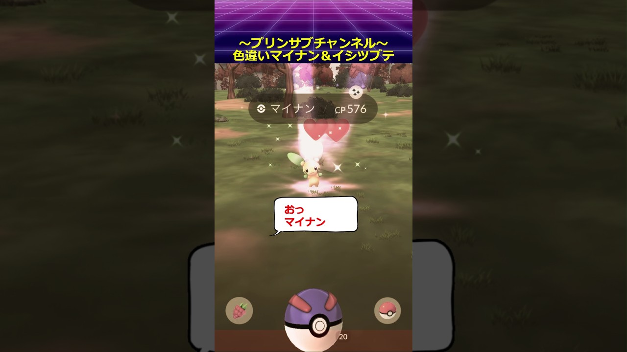 🐲色違い🐦 マイナン イシツブテ ポケモンgo with 魔法使いの夜 より #マイナン #pokemon #pokemongo #魔法使いの夜 #イシツブテ