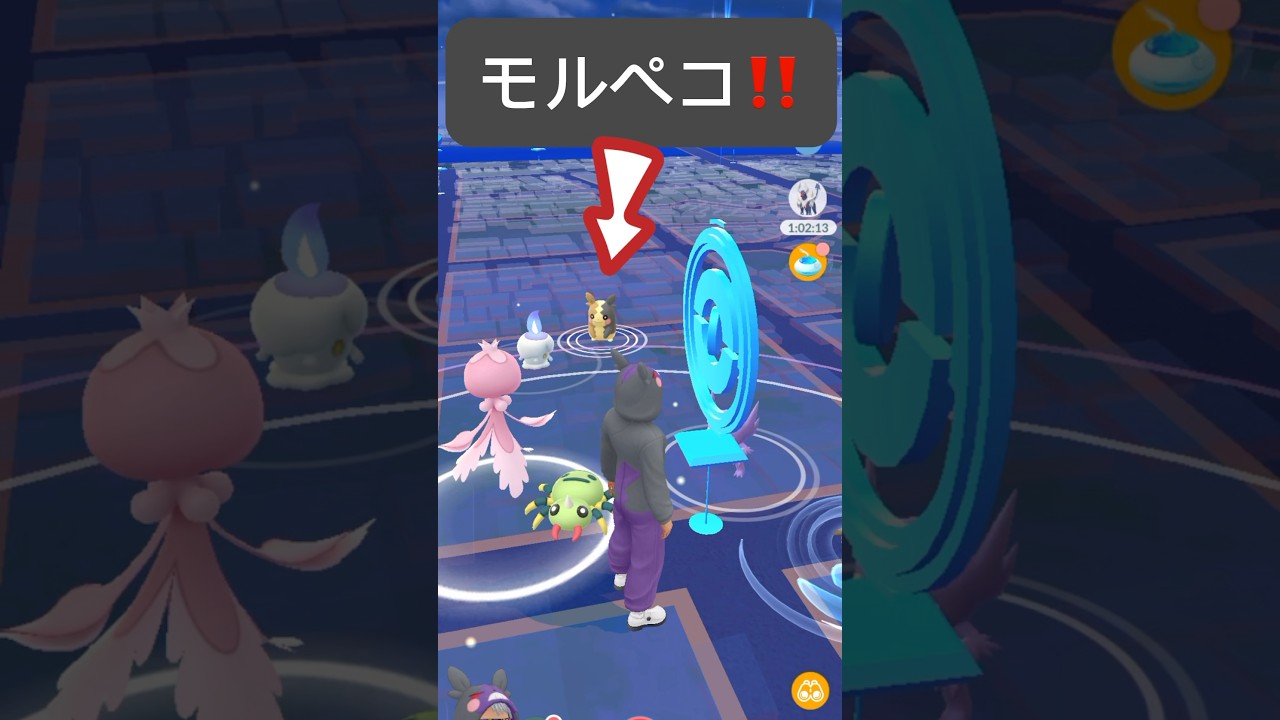 【ポケモンGO】モルペコが現れた!!【✨When I Got Morpeko Pokémon GO✨】