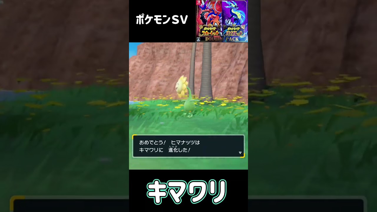 ヒマナッツ進化　キマワリ　ポケモンＳＶ