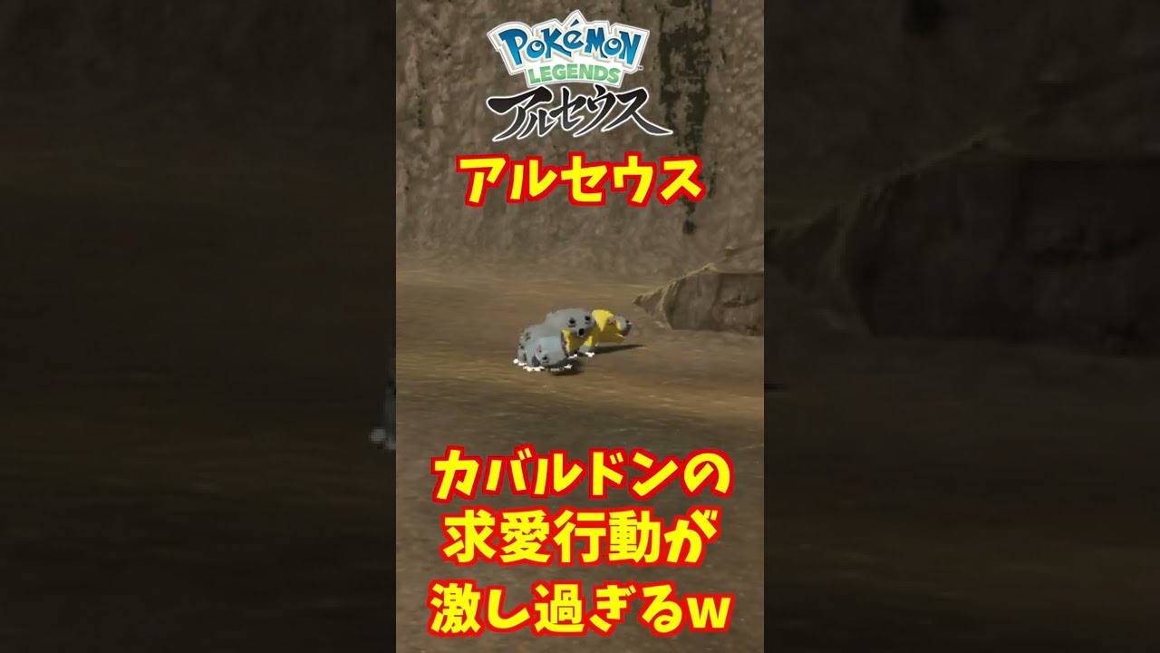 アルセウスでカバルドンの激し過ぎる求愛行動www【ポケモン】【アルセウス】