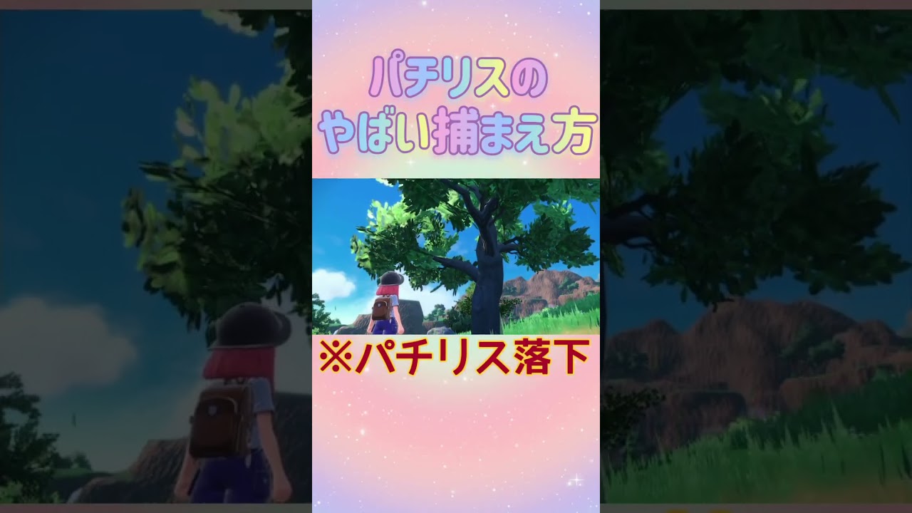 パチリスのやばい捕まえ方【切り抜き】🍰 #ポケモン #ゲーム実況 #パチリス #ポケットモンスター #バイオレット #スカーレットバイオレット #ポケモン実況  #ゲーム #任天堂 #Switch