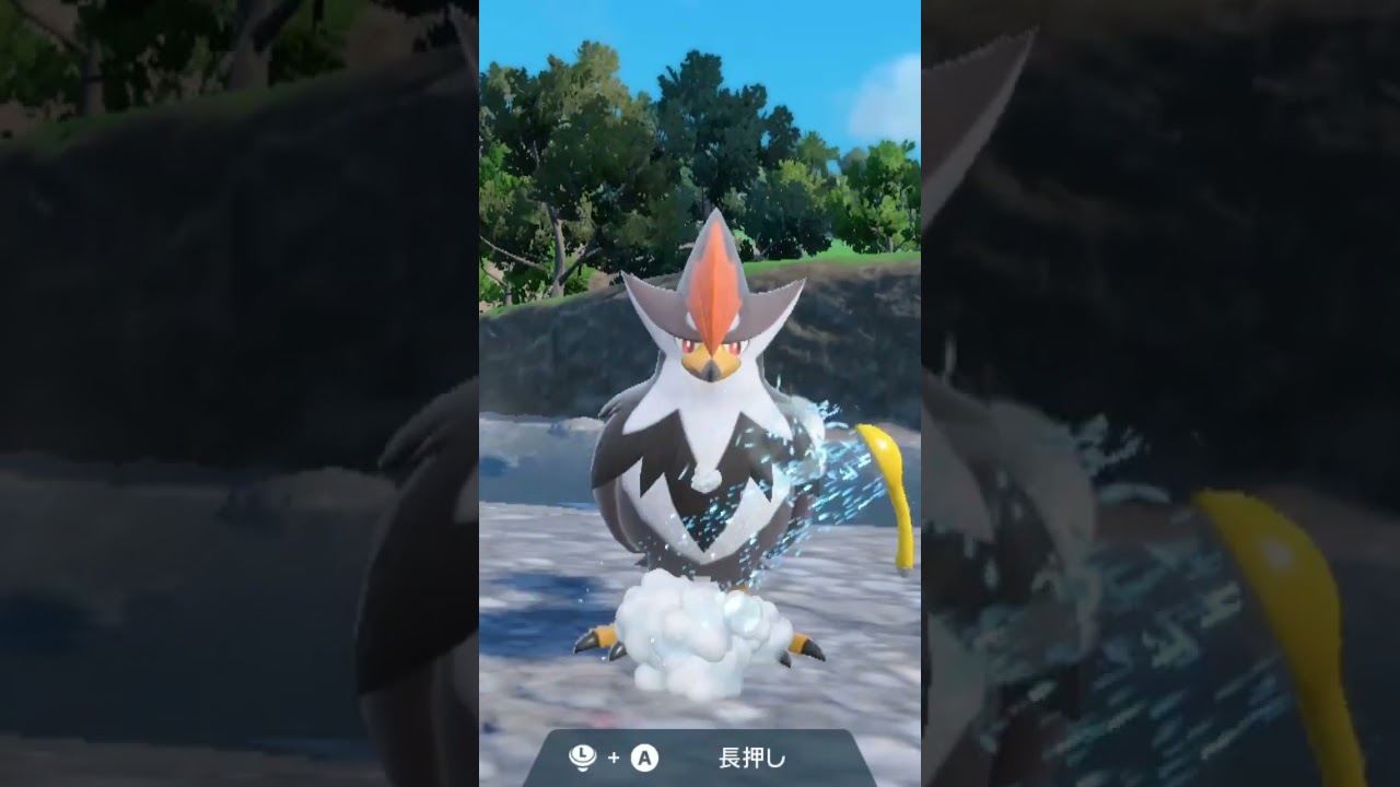 ムクホーク Staraptor【ポケモンsv】