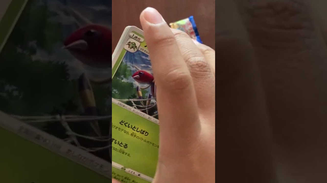 【ポケモンカード】めくると！メタモン　左下見るとメタモンかどうかわかるらしい