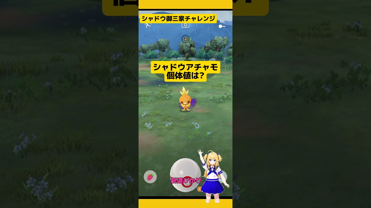 シャドウアチャモ、ミズゴロウゲット個体値は?#ポケモンgo #シャドウポケモン #ロケット団 #アチャモ#ミズゴロウ #御三家