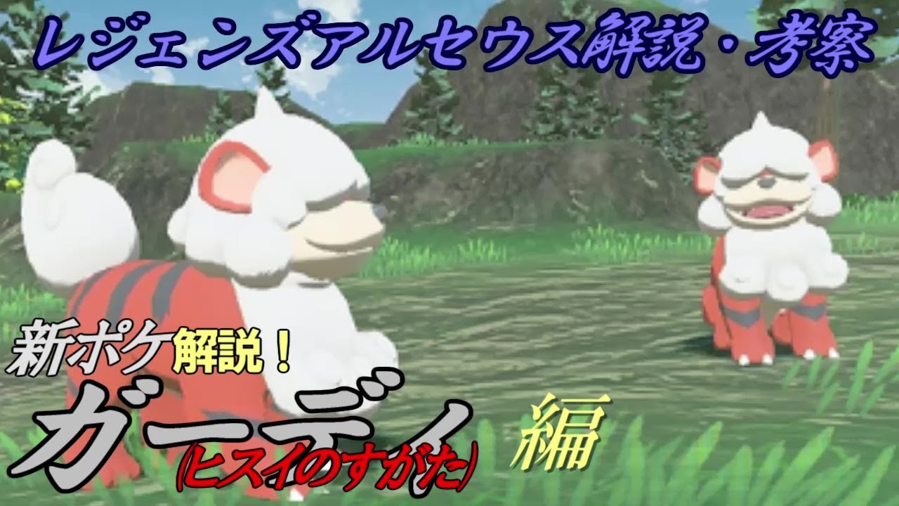 サクッと新ポケ解説　ガーディ(ヒスイのすがた)の生態　Shorts　【ポケモン解説】【ゆっくり解説】【レジェンズアルセウス】