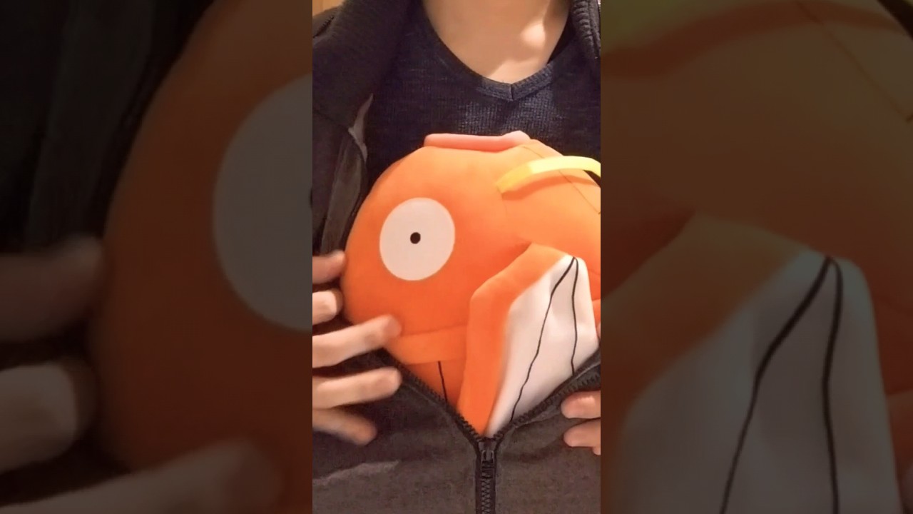 【コイキング】仕事帰りにコイキングパイセン取ってきたぞぉ🐟