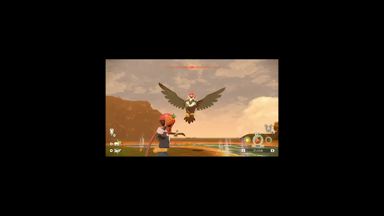 アピール無限なムクホークバグ！？【Pokémon LEGENDS アルセウス】