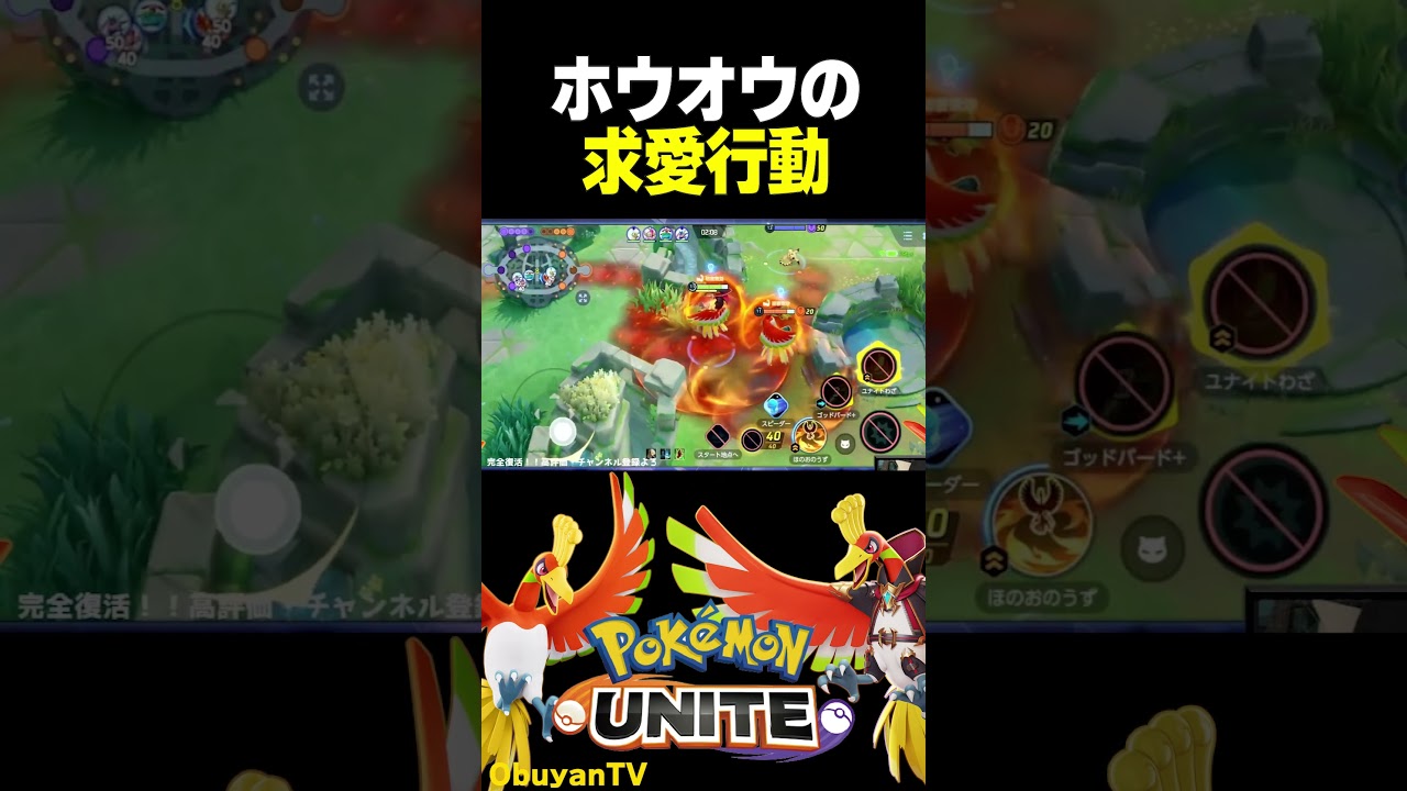 ホウオウの求愛行動 #shorts  #ポケモンユナイト #ポケモン