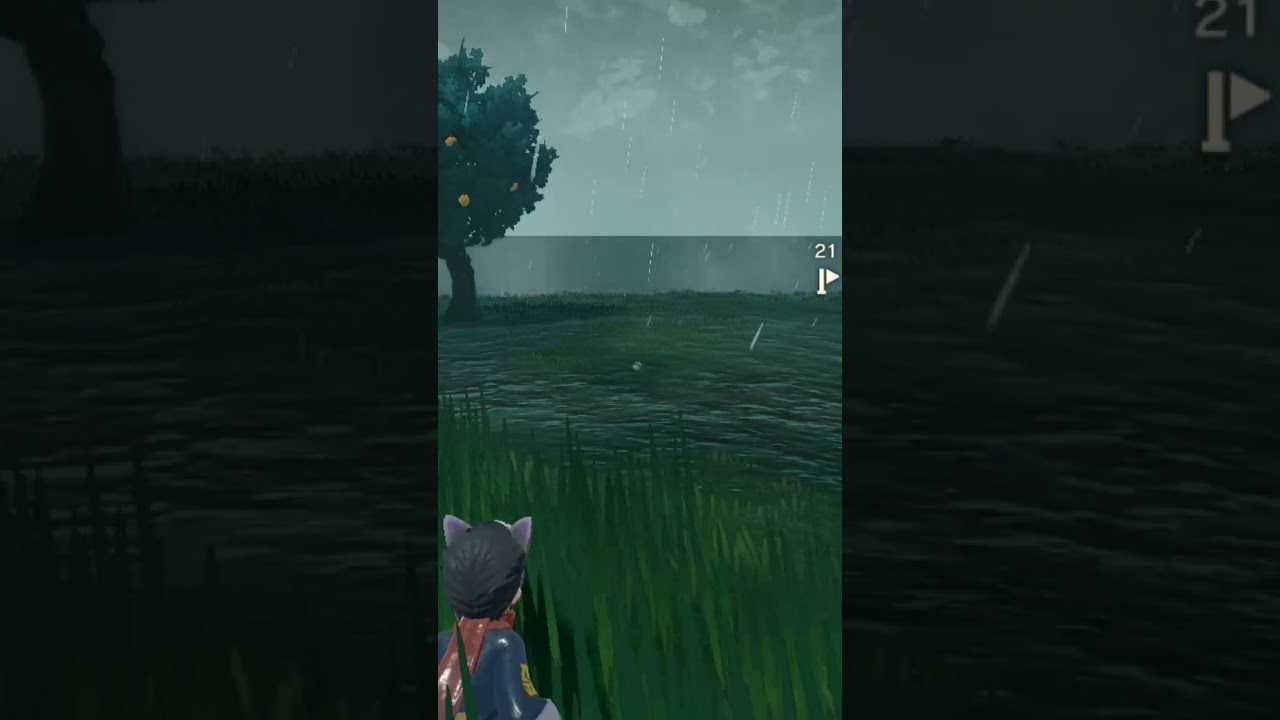 コロコロ転がる可愛いアザラシ🦭色違いタマザラシ親分【ポケモンレジェンズアルセウス】#shorts  #色違い厳選  #色違いポケモン  #ポケモン