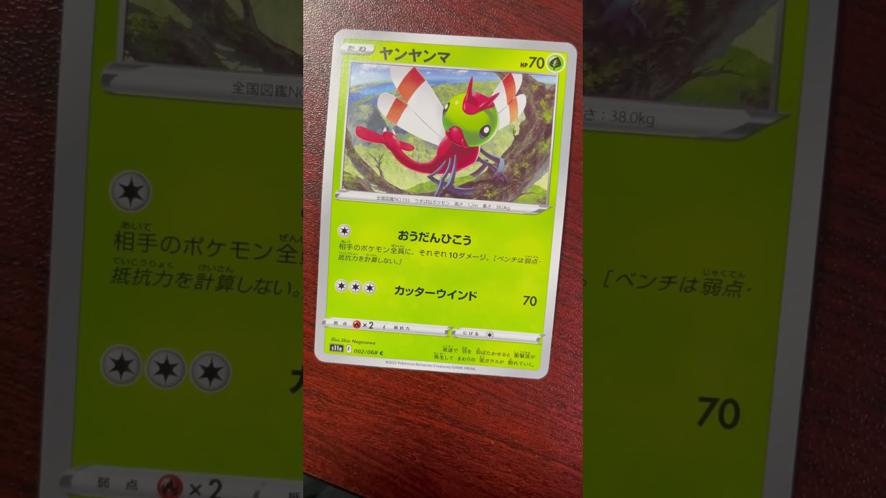 上司からもらったヤンヤンマ #ポケモンカード