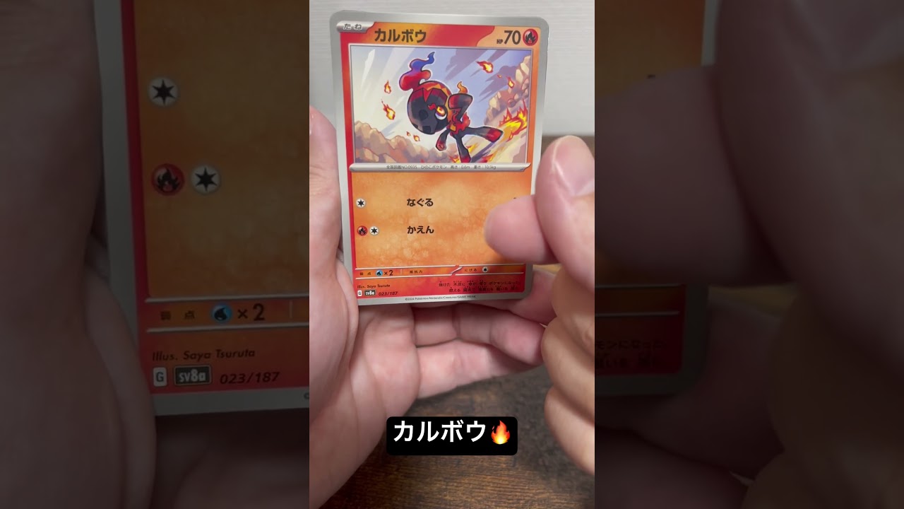 ブイズ✌️グレイシアとブースター🥳ポケカ開封　テラスタルフェス