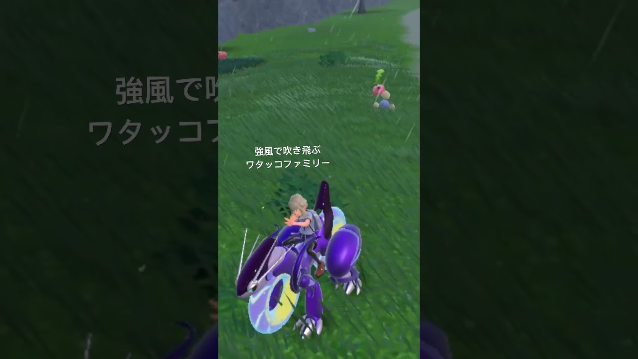 吹き飛ばされるワタッコファミリー #ポケモンsv #ポケットモンスター #スカーレットバイオレット