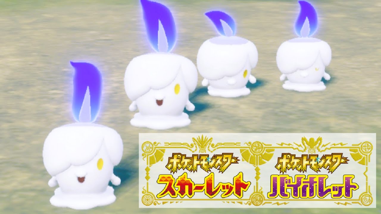 【可愛い】ヒトモシ６匹に囲まれて癒されピクニック【ポケモンSV】