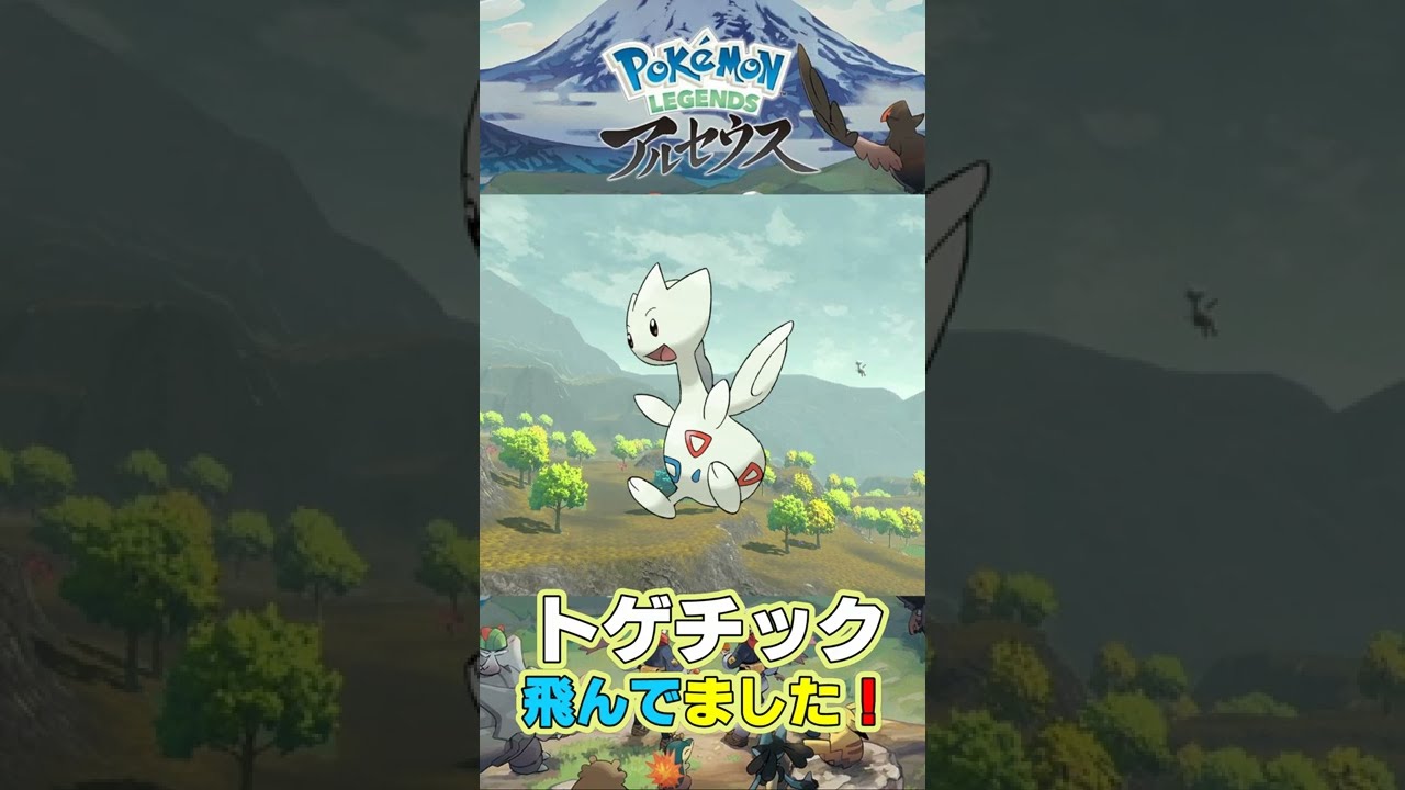 昼夜問わず飛んでるトゲチック発見！　＃Short　【ポケモンアルセウス】