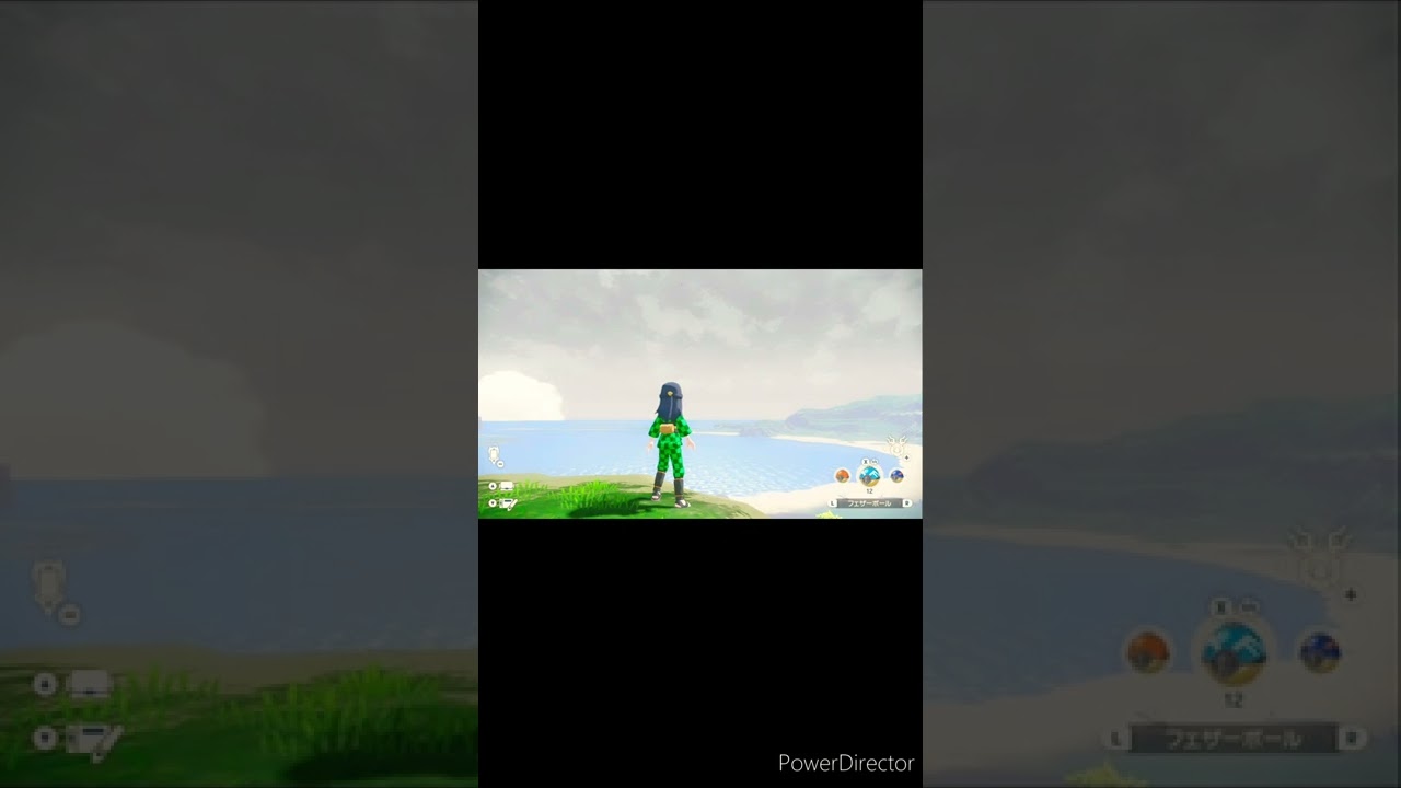 ムクホーク✨【PokemonLEGENDSアルセウス】タネダミコイ🔥