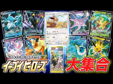 【本日初公開】イーブイと仲間たちが大集合！強化拡張パック「イーブイヒーローズ」収録カード紹介【ポケカ最新/ポケモンカード】