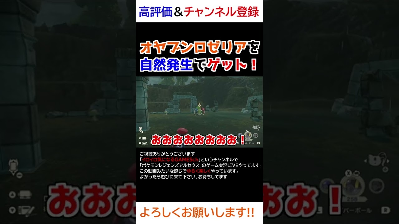 オヤブンロゼリアを捕獲する！【Pokémon LEGENDS アルセウス】