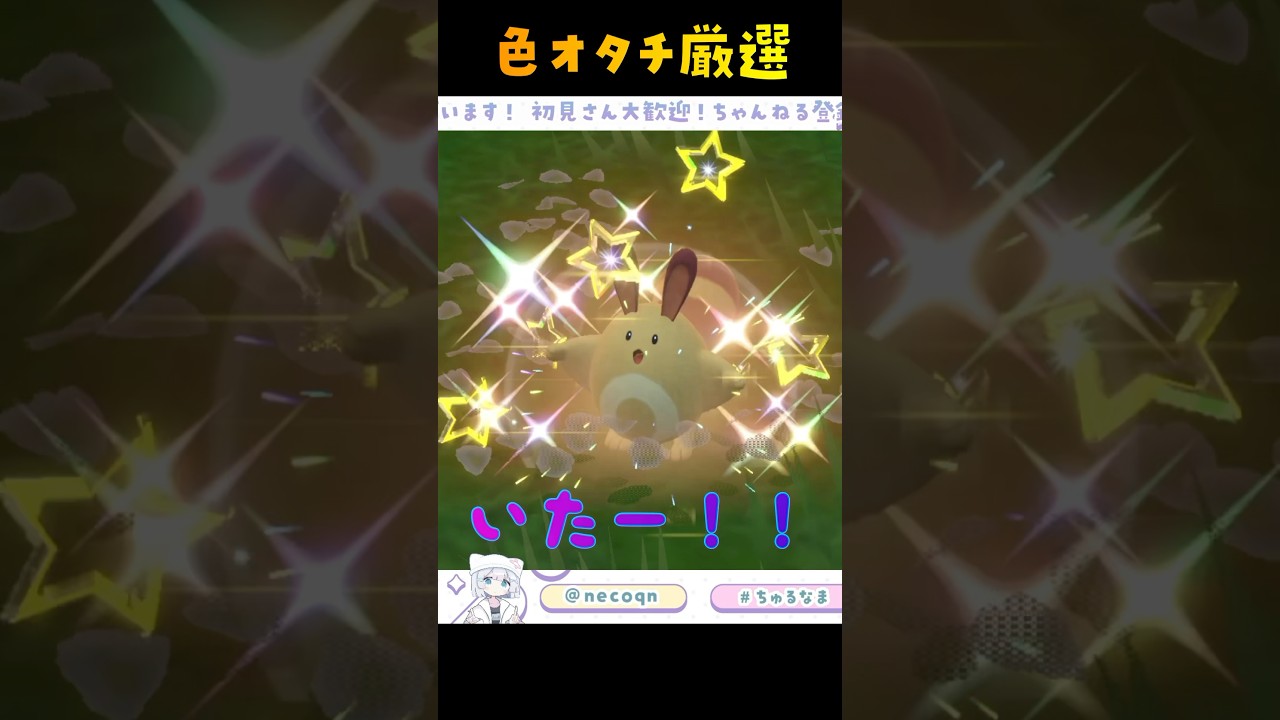 色違いオタチ厳選！かわいすぎる！【 #ポケモンSV #碧の仮面 #色違いオタチ 】