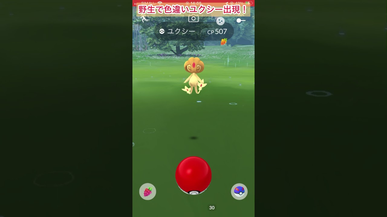 野生色違いユクシーゲット！今回は捕まりやすいらしい？【ポケモンGO】