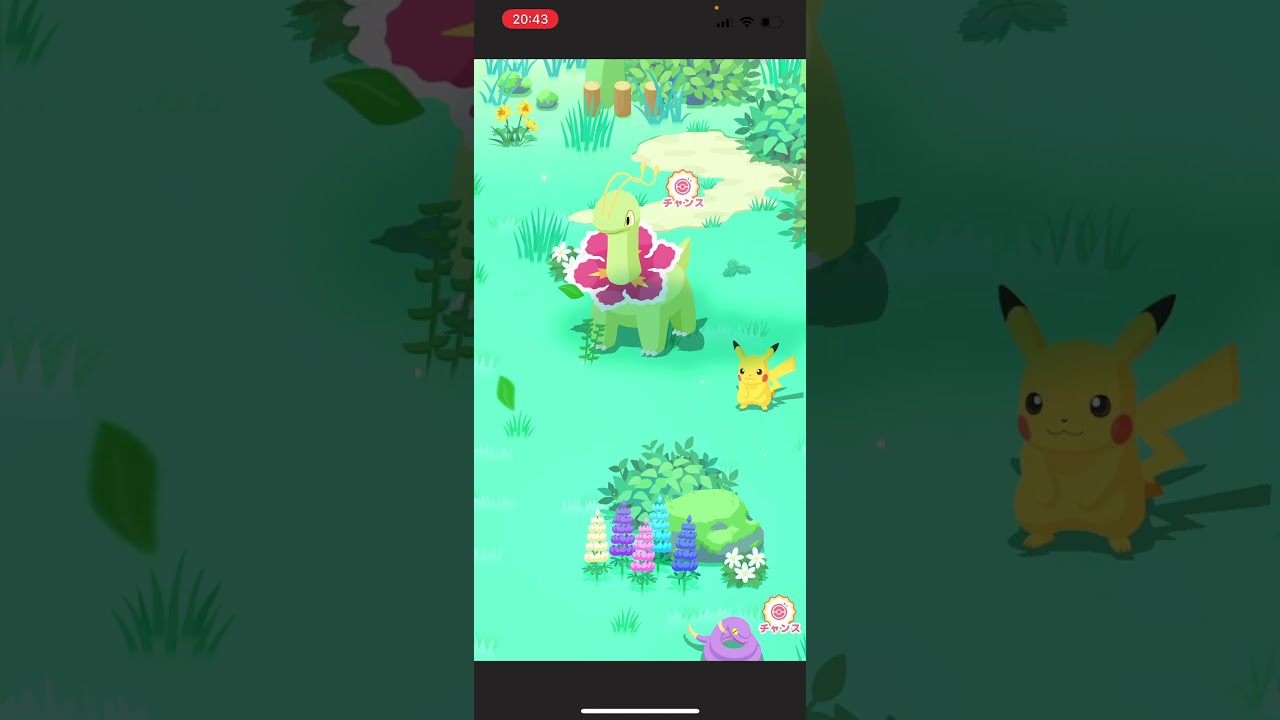 ダブルメガニウム!!!【ポケモンスリープ/Pokemonsleep】#Shorts #ポケットモンスター #ポケモンスリープ #寝起き