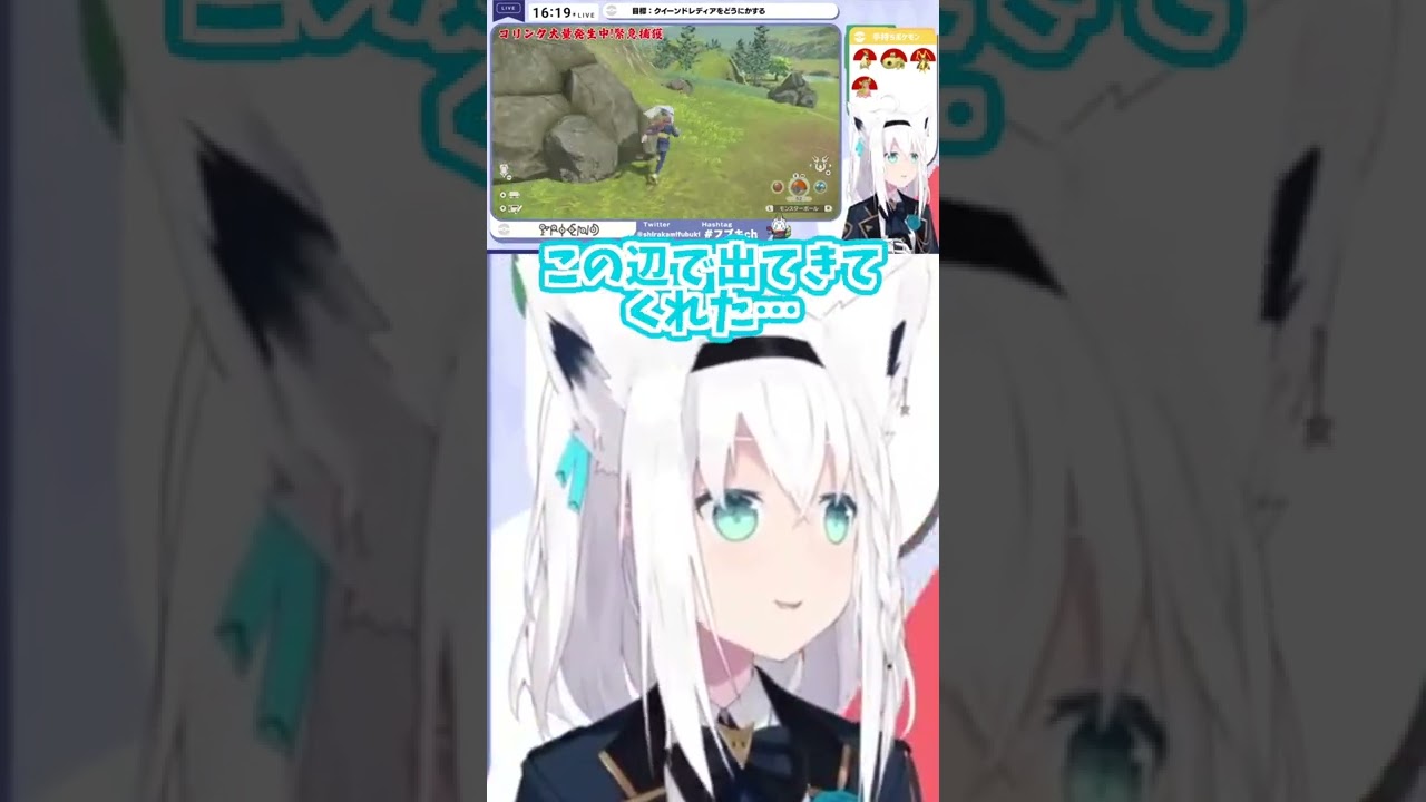 【白上フブキ】色違いコリンクを探していたが別の色違いに遭遇するフブキ #shorts