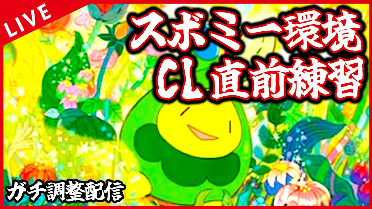 【ガチ調整配信】CL直前練習回　スボミー環境のいろんなデッキで遊ぶぞ！！！【ポケカ】
