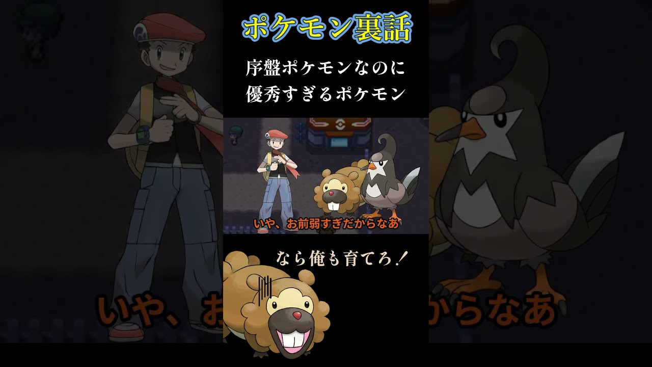 ビッパあるある