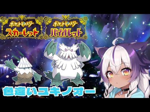 【ポケモンSV】色違いユキカブリ → ユキノオー【ポケットモンスタースカーレットバイオレット】