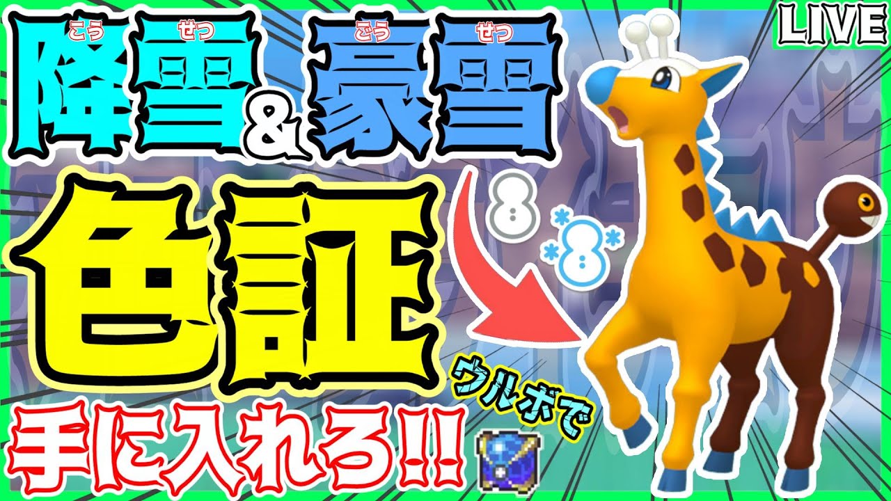 【色証厳選】期間限定⚠️降雪＆豪雪の色証"キリンリキ・リキキリン"を探せ‼️【色キリンリキ】【色違い厳選 】【ポケモンSV】【初見さん大歓迎】