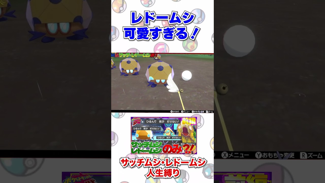 レドームシたちとのキャンプが可愛いすぎた　＃ポケモン　＃虫　＃伝説　＃ #ポケモンsv