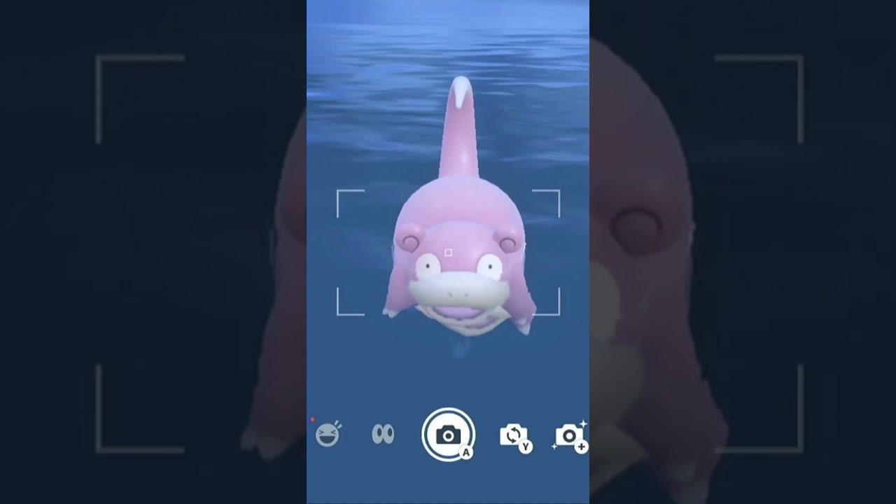 ヤドンを愛でるかい #ポケモン #ヤドン