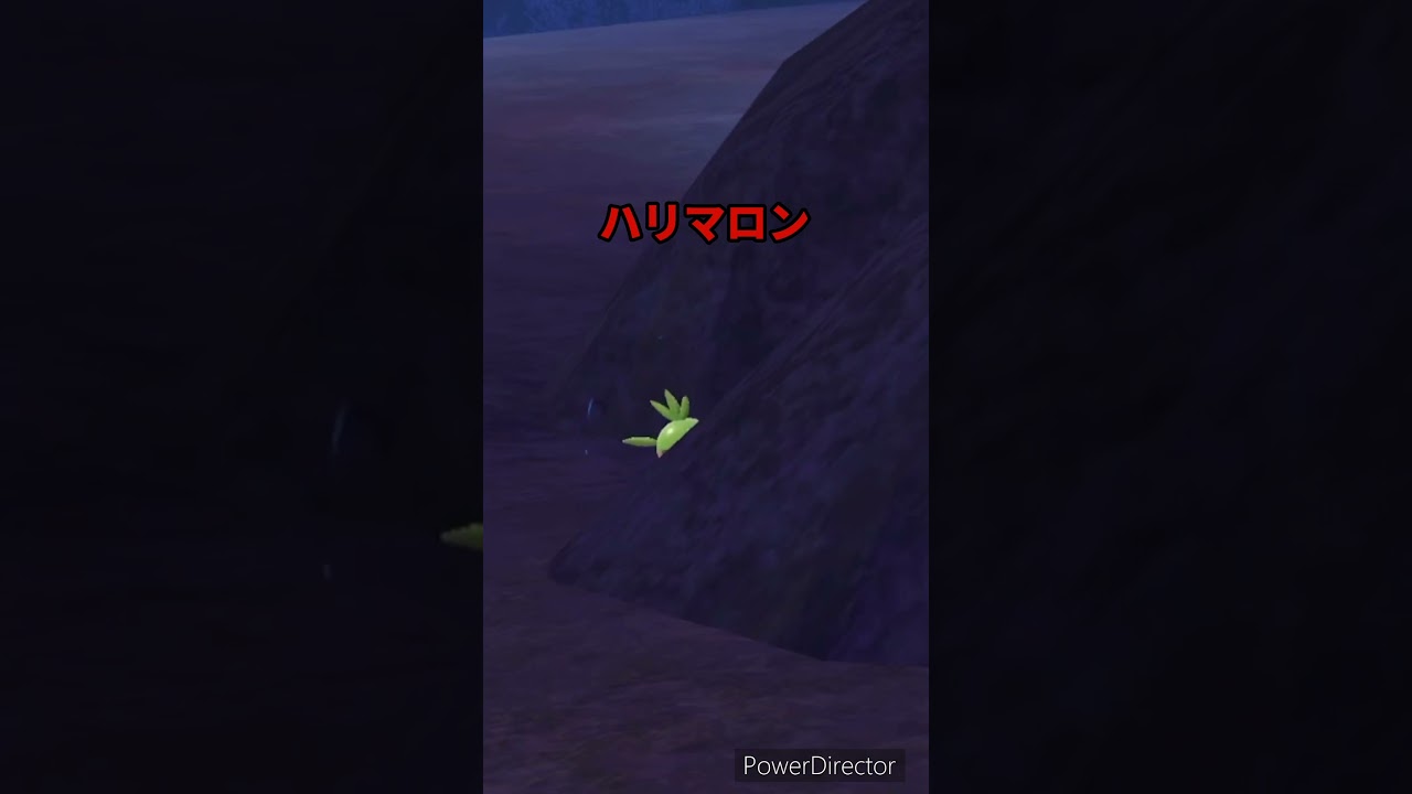 【ポケモンバイオレット】ハリマロンみっけ　#ポケモンバイオレット #ゲームリハビリ #切り抜き #shorts