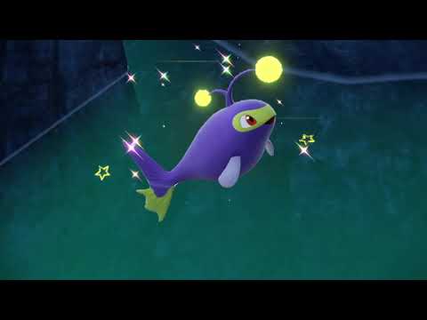 藍の円盤　ランターン　色違い