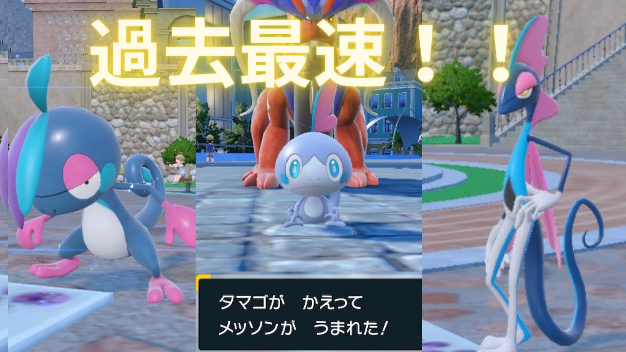 【出現確率1/512】国際孵化厳選で色違いメッソンを狙う・卵329個part1【ポケモンSV】