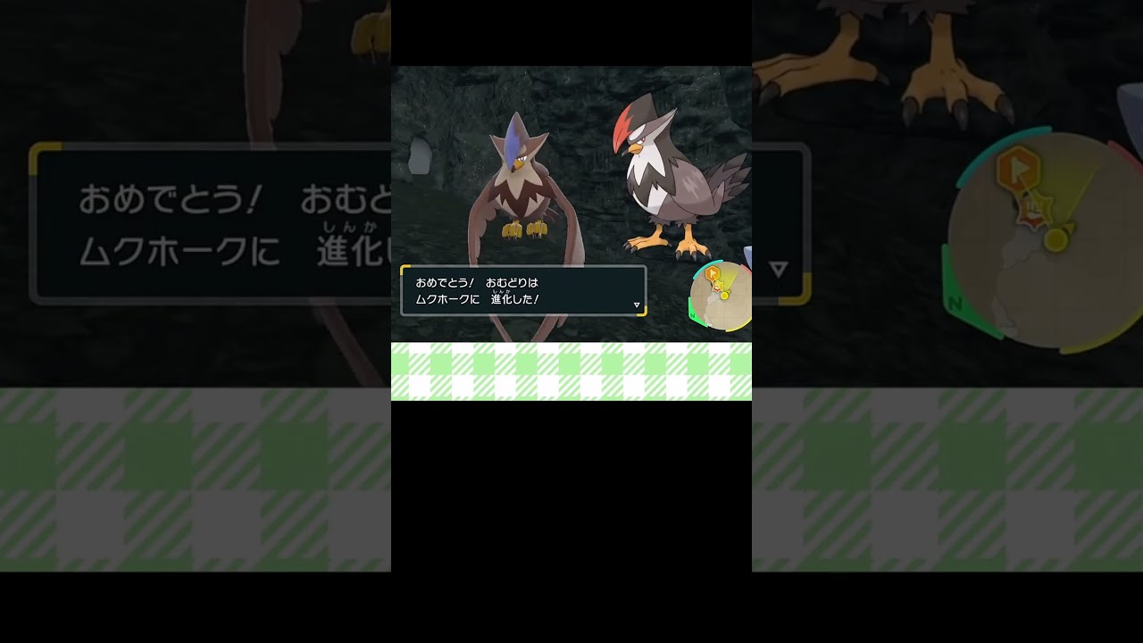 【PokemonSV/追加DLC】進化したらどっちになる!?　色違いムクホーク比較！　#shorts 【Vtuber/甘衣ふれじぇ】