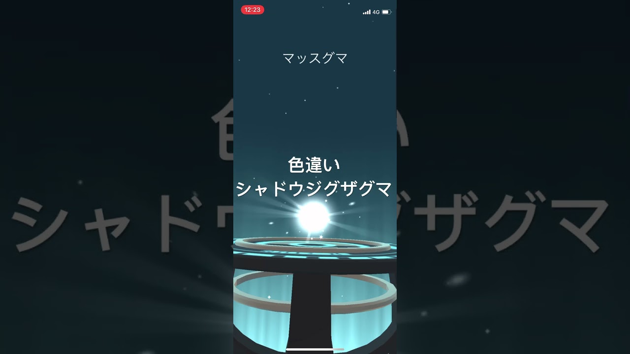 ポケモンGO 色違いシャドウジグザグマ出現！色違いマッスグマ、色違いタチフサグマへ進化！