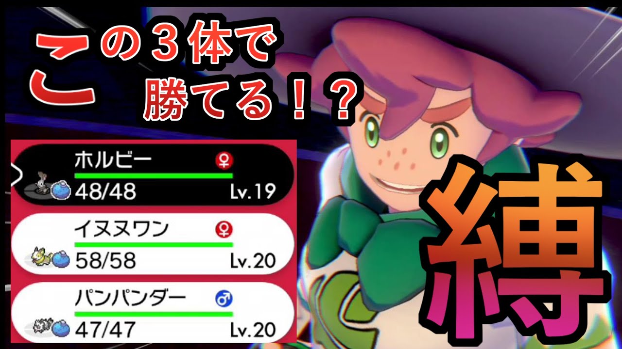 【8】ホルビー、ワンパチ、ジグザグマ3匹で弱点技禁止、トレーナーによる回復禁止でヤロー（初回）戦！　ポケットモンスター盾縛り実況