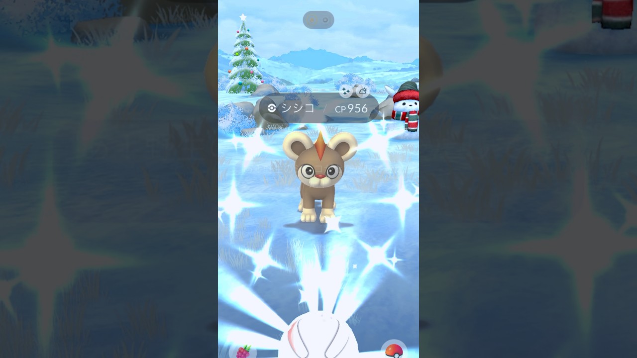 【色違い】シシコ〜♫🎄 #ポケモンgo #ポケモン #pokemongo