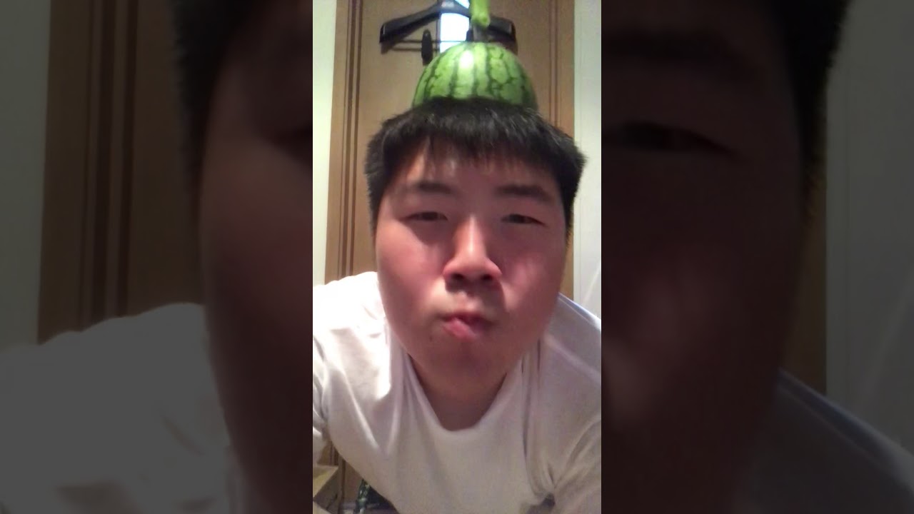 野生のナエトルが現れた！！！