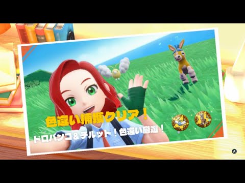 【ポケモンSV】#10.5 視聴者0人を想定して話題はとっくに無いけど喋り続ける、ドロバンコ＆チルット2匹色違いほぼ厳選垂れ流し動画！【ウーリ】