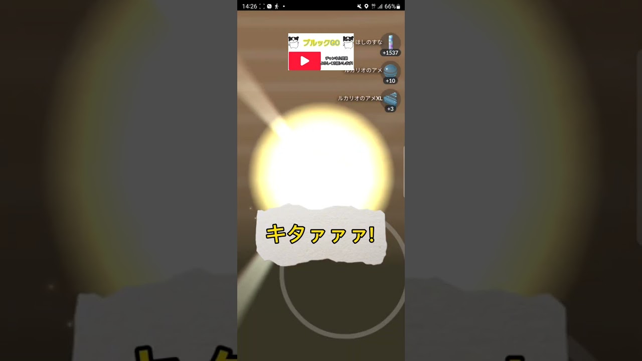 【孵化の日】リオル　キチャーーーー!!【ポケモンGO】 #shorts