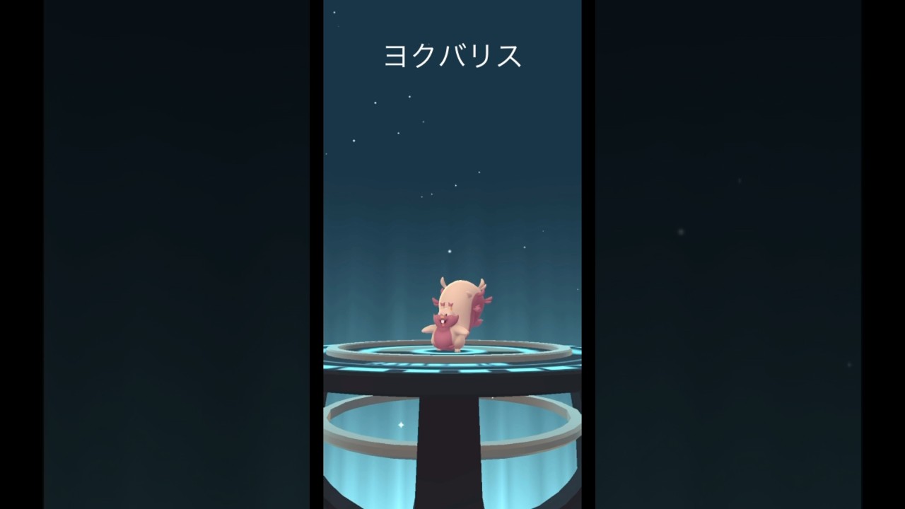 【ポケモンGO】ホシガリスの色違いが2体目獲れたので、ヨクバリスに進化！#shorts #pokemongo #ポケモンgo