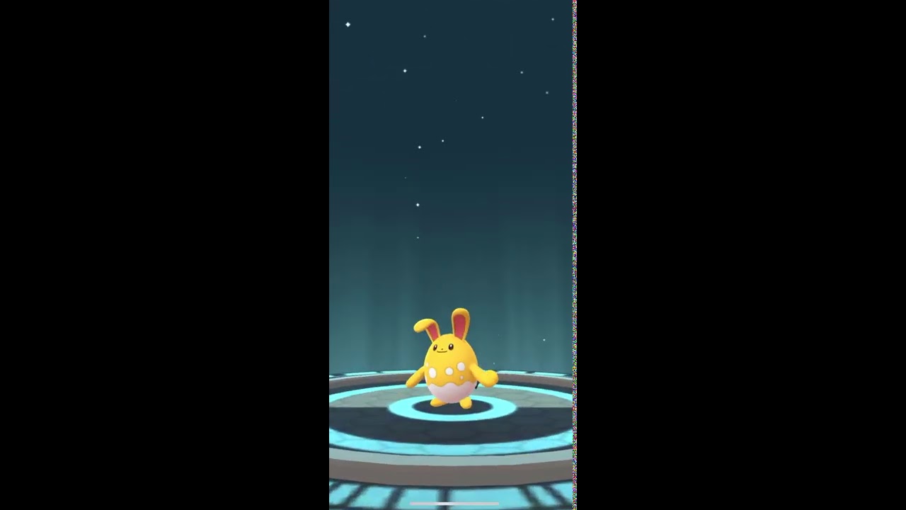 【Pokémon GO】マリル →マリルリ 進化‼️
