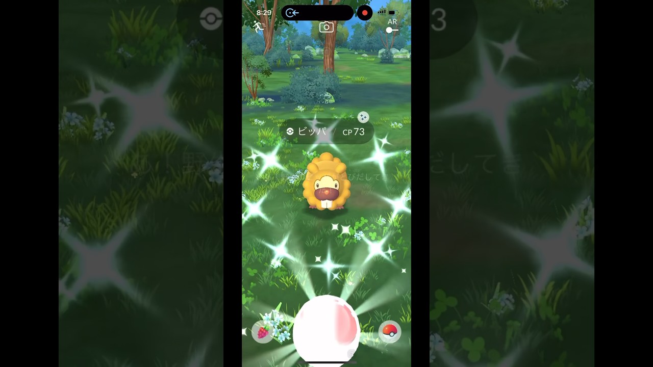 ビッパ色違い　#ポケモンgo色違い  #pokemongo #pokemon #shorts #ビッパ　#色違い