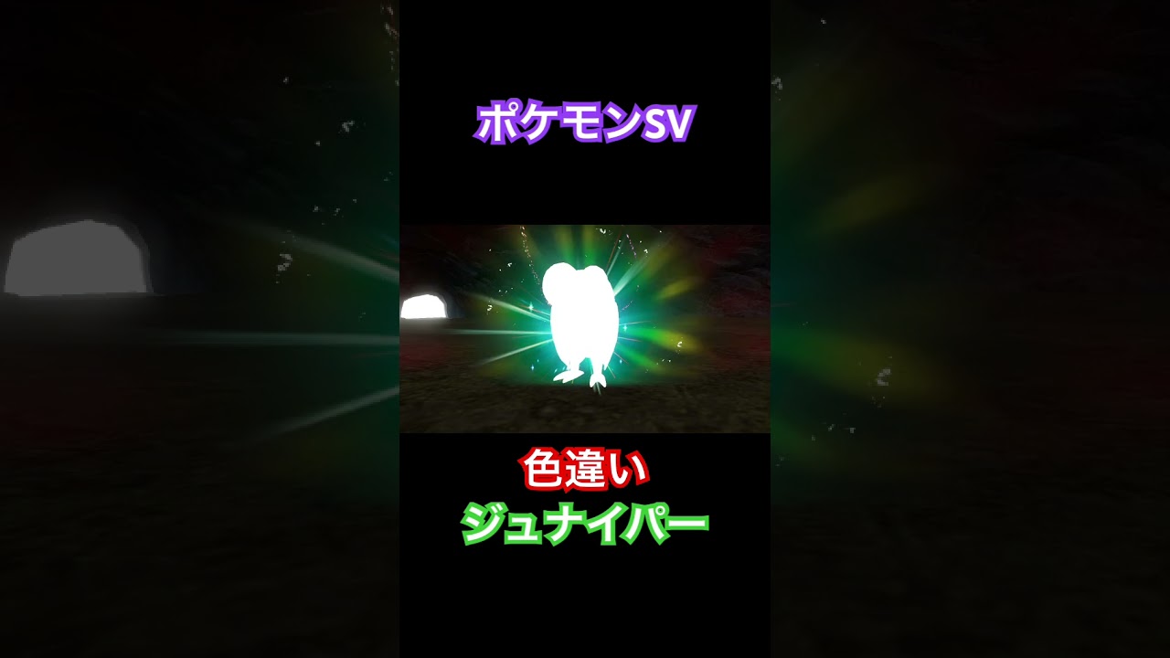 【ポケモンSV】色違いジュナイパー #ポケモン #ポケモンSV #pokemon #shorts